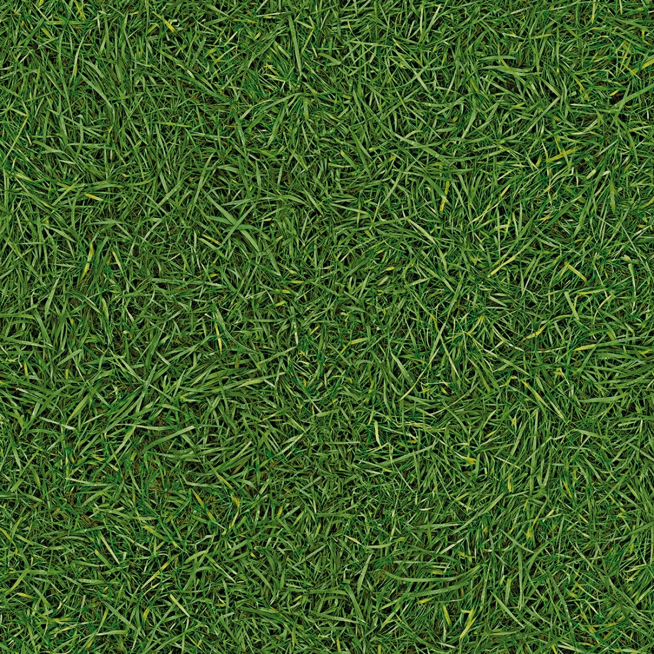 Линолеум IVC Vision Grass T25 (4м) 
